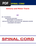 Anatomy and Function of DCML Pathway | PDF | Neuroscience | Nervous System