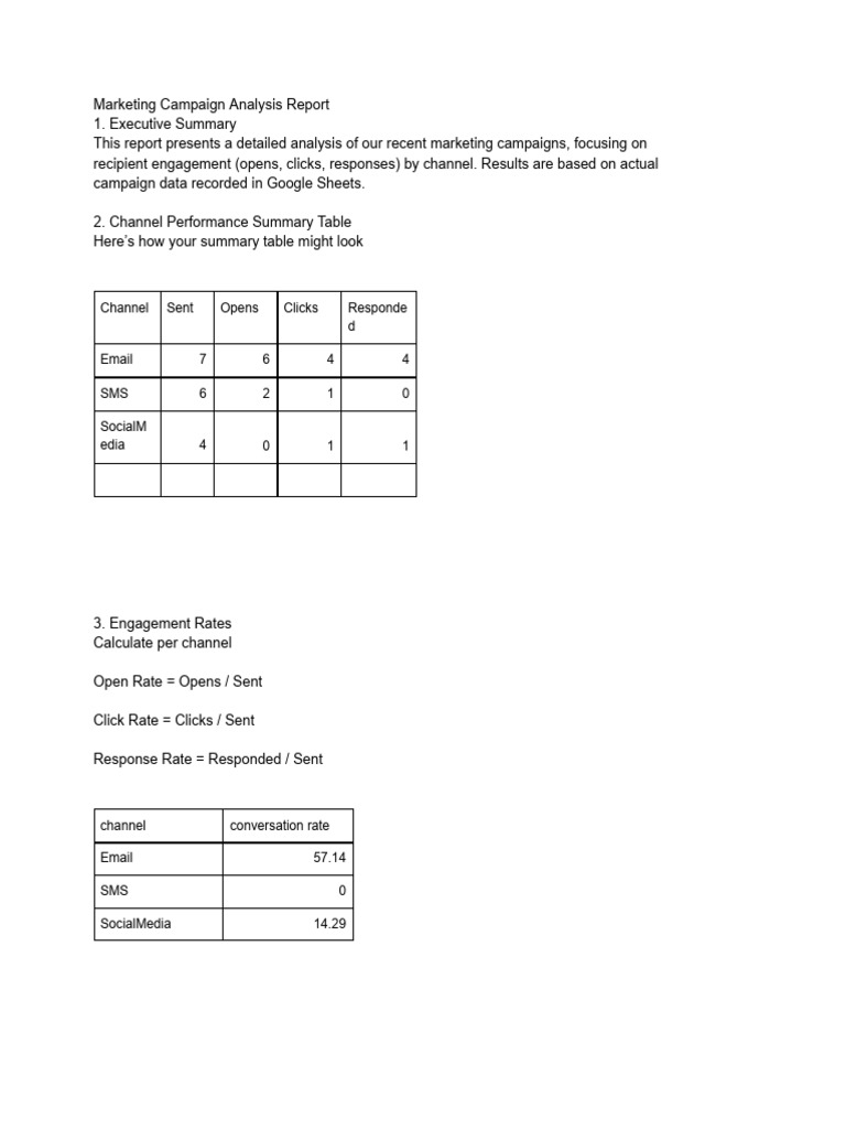 Marketing Campaign Analysis Overview | PDF