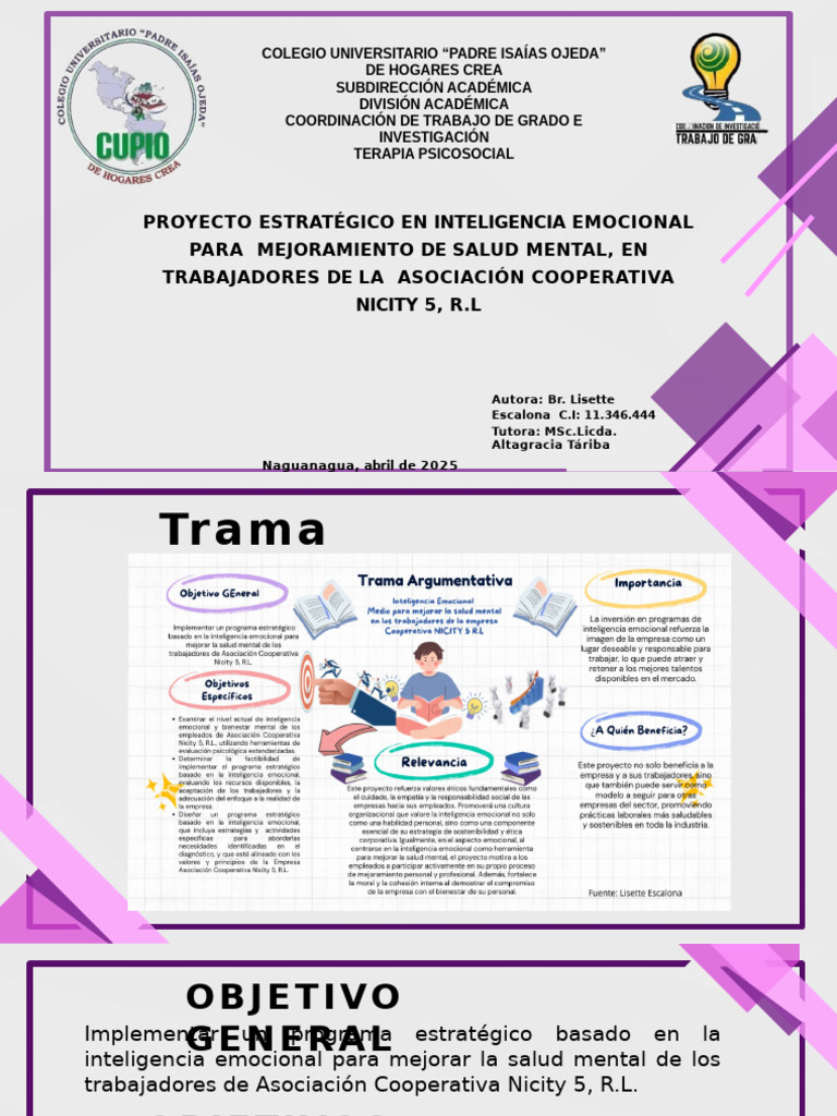 Programa de Inteligencia Emocional en Nicity | PDF | Las emociones ...