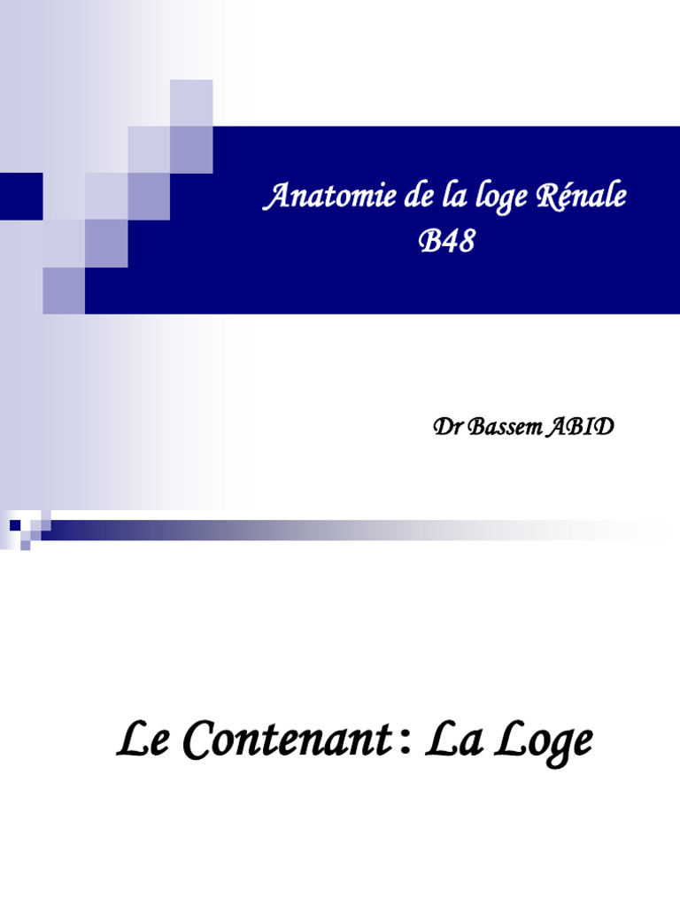 Anatomie de la Loge Rénale | PDF | Glande surrénale | Rein
