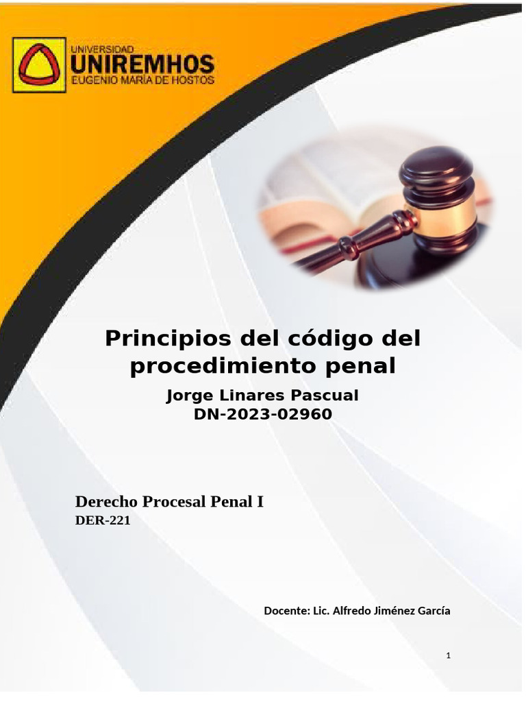 Principios del Código Procesal Penal RD | PDF | Debido al proceso ...