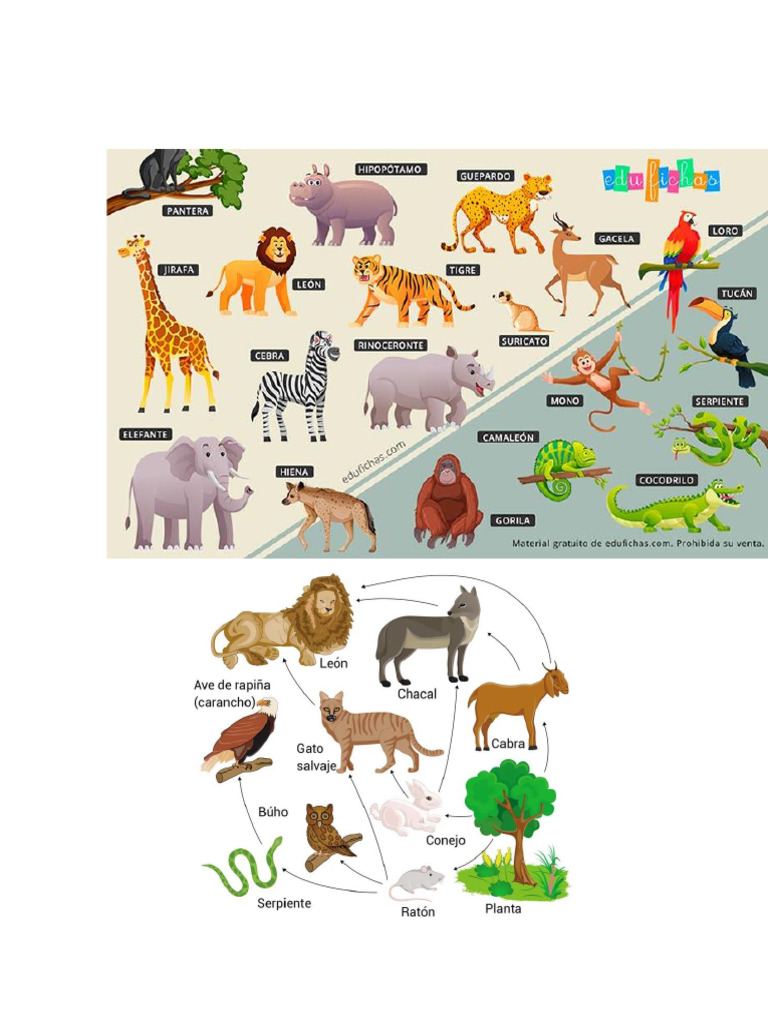 Animales | PDF