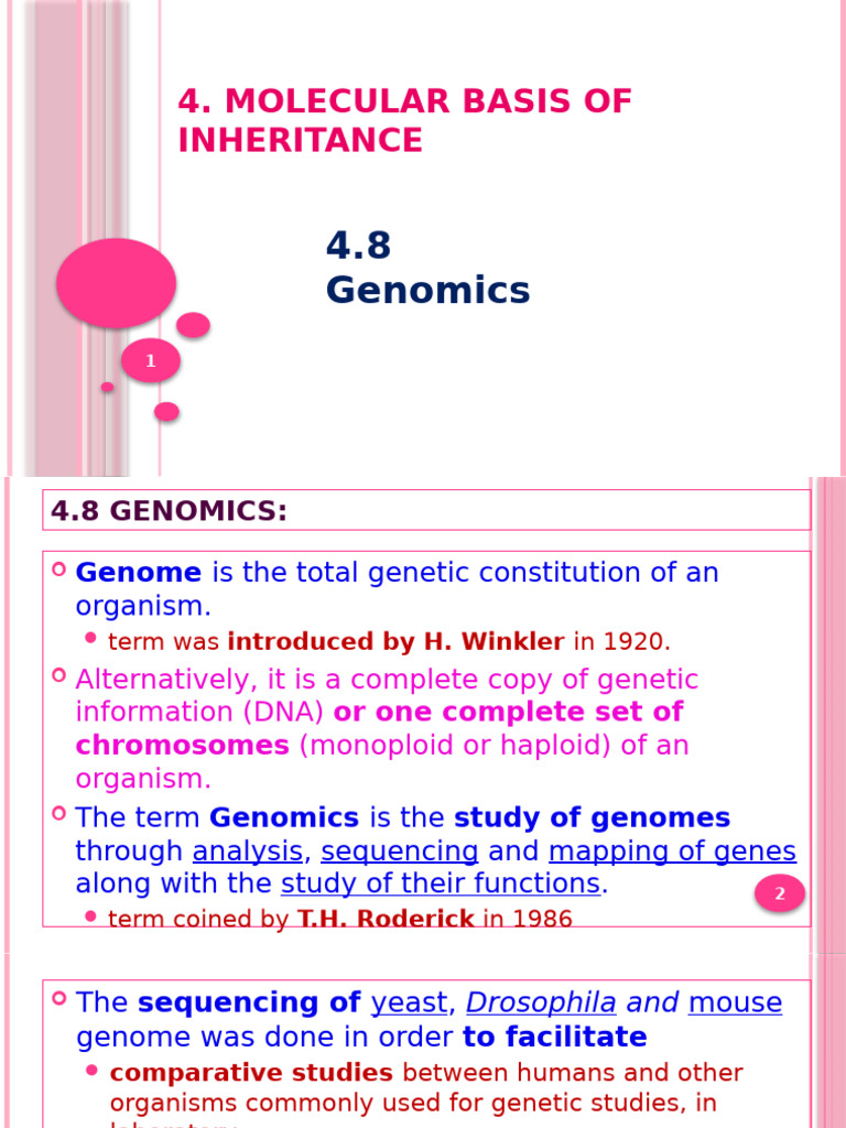 4.8 Genomics | PDF
