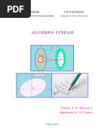 Álgebra Linear: Matrizes e Sistemas | PDF | Matriz (Matemática