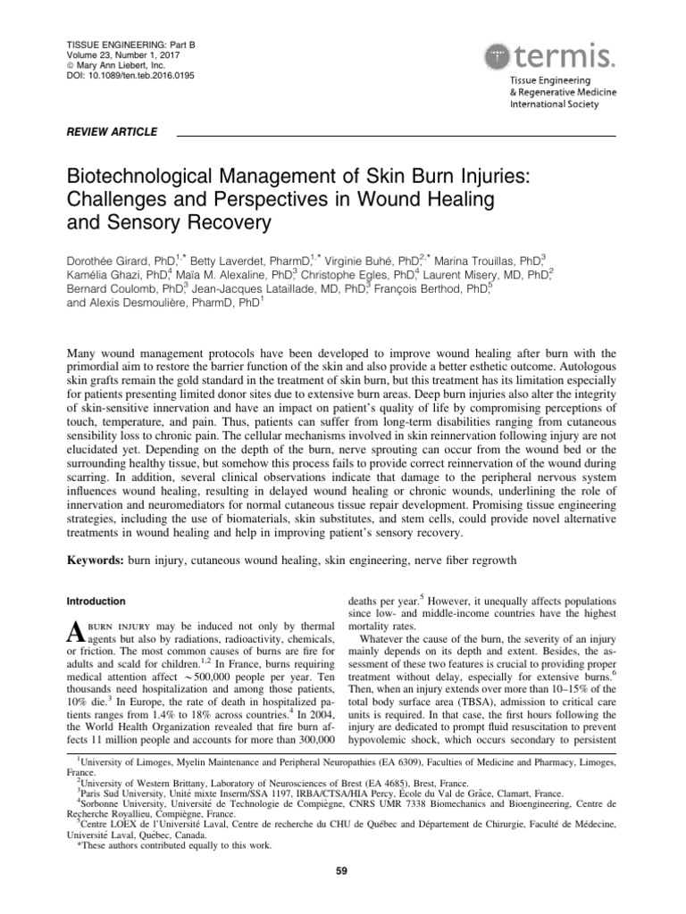 Biotechnological Management of Skin Burn Injuries Challenges and ...