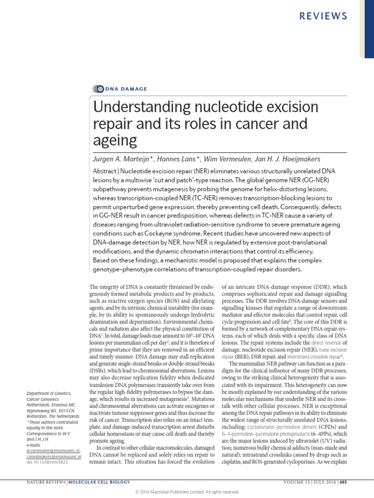 Nucleotide Excision Repair in Cancer and Ageing | PDF | Dna Repair | Dna