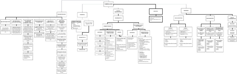 Comprehensive Guide to Tuberculosis | PDF | Tuberculosis ...