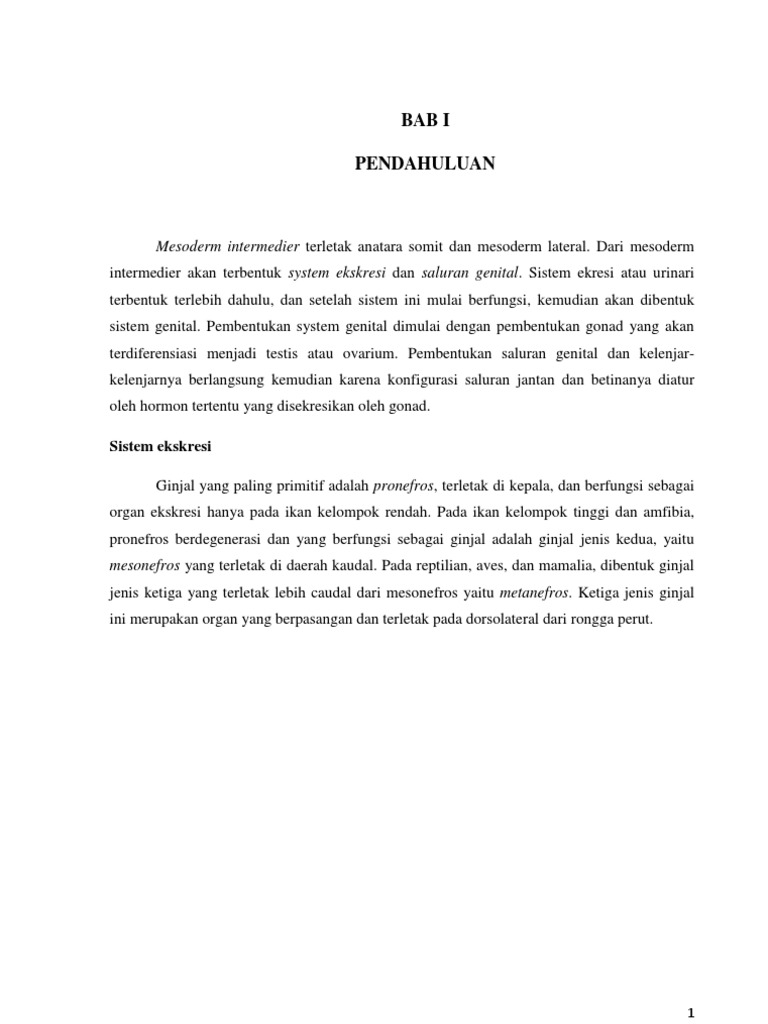 Download 57 Gambar Ginjal Pronefros Terbaru HD