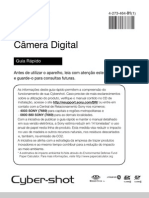 Manual de Instrucoes Dsc w530 PDF