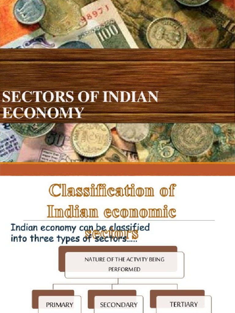 E2 Sectors of Indian Economy 2 | PDF