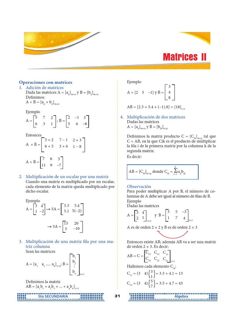 29 Matrices II | PDF | Matriz (Matemáticas) | Determinante