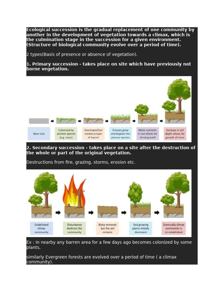 Climate Change and Ecological Succession | PDF | Ecosystem ...