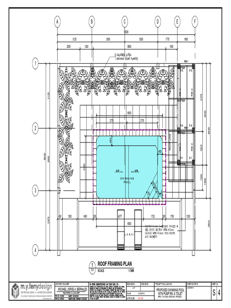 Proposed Swimming Pool Design Plan | PDF