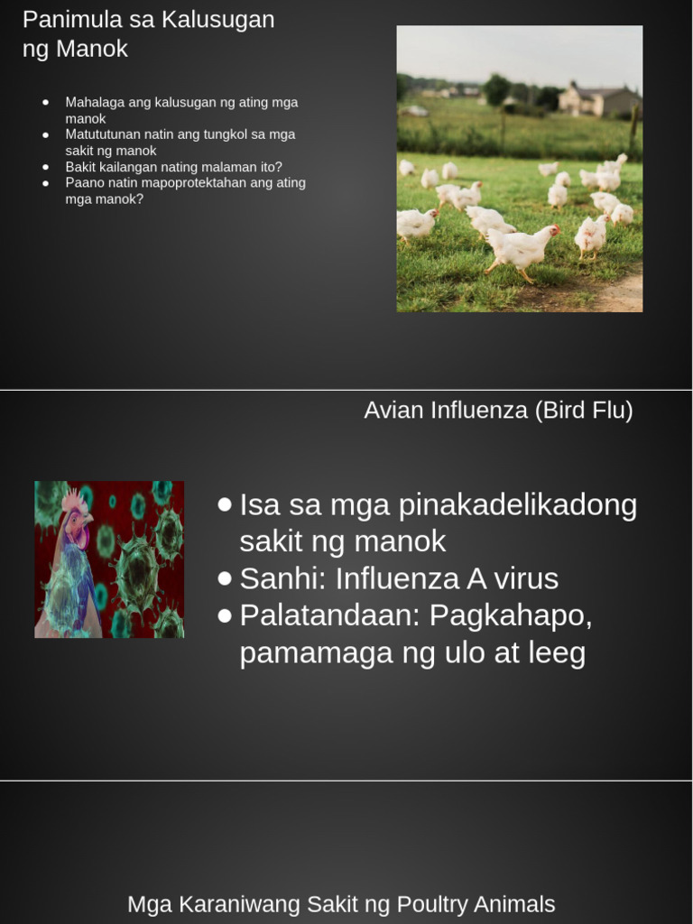 Power Point Presentation in Epp | PDF