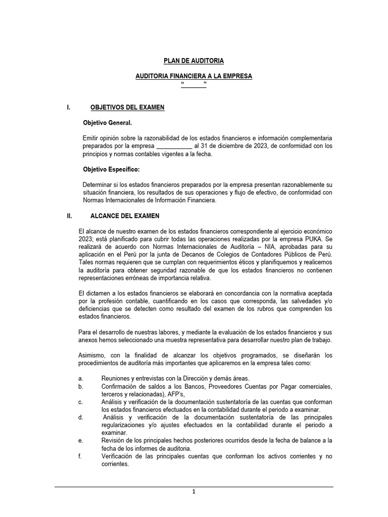 Plan de Auditoría Legal 2023 | PDF | Auditoría | Estado financiero