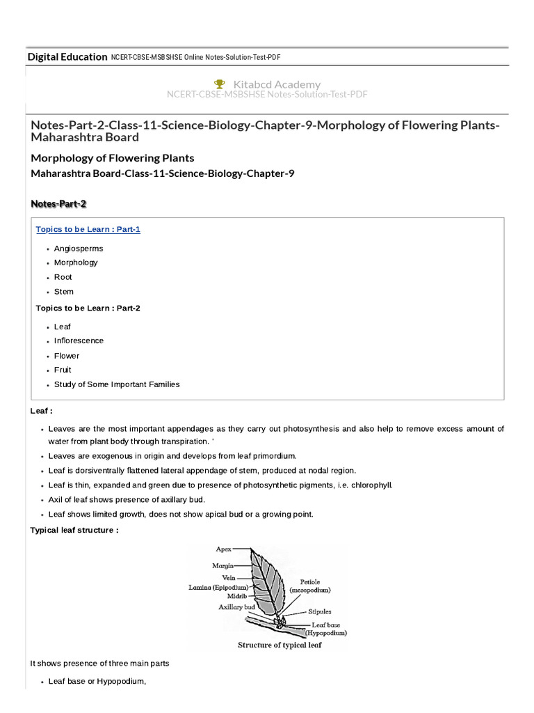 Class 11 Biology: Morphology Notes | PDF | Leaf | Fruit