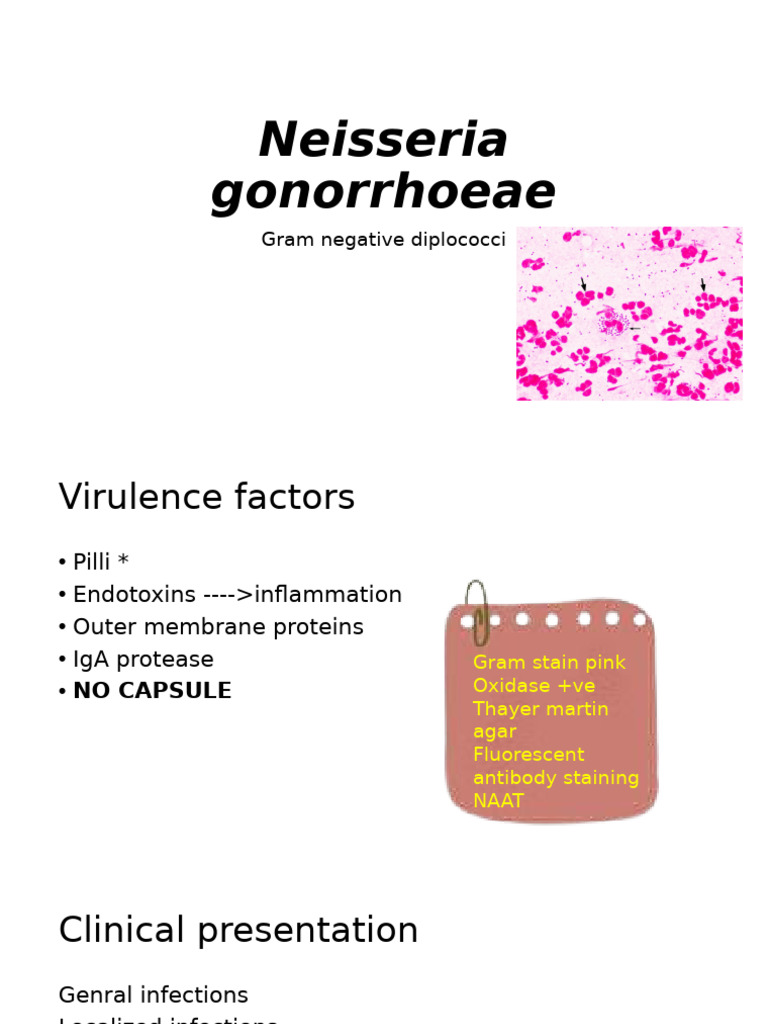Gonorrhea: Diagnosis and Treatment | PDF | Medical Specialties ...
