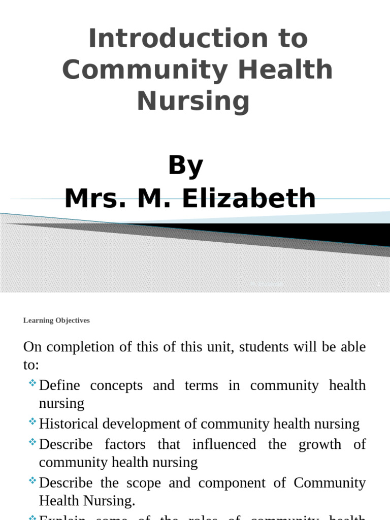 Community Health Nursing Overview | PDF | Family | Well Being