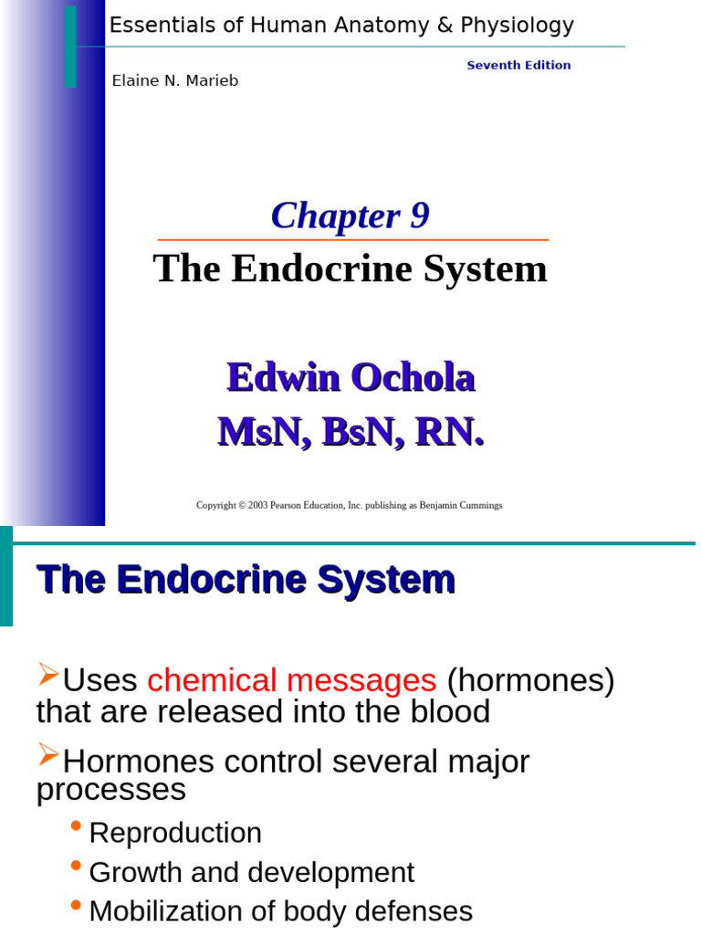 Anatomy The Endocrine System | PDF | Adrenal Gland | Endocrine System
