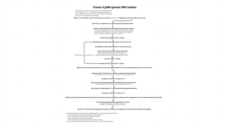 Create One Image File (Size 1 MB, .Png or .Jpeg) That is a Flow Chart ...