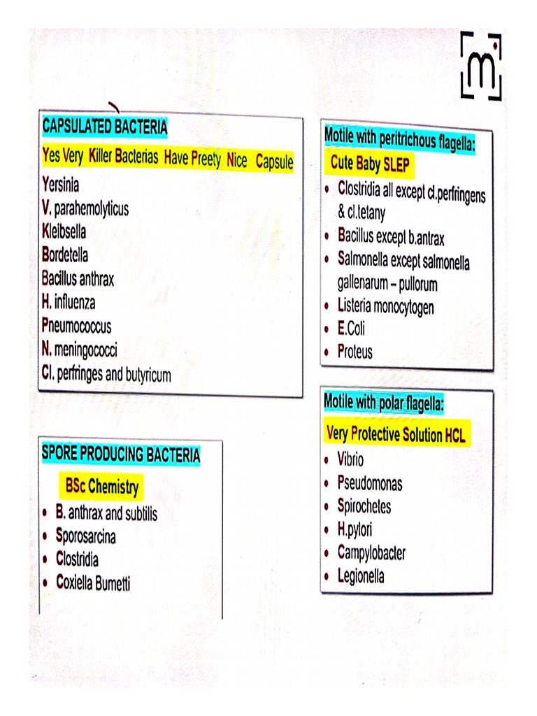 Capsulated Sporing Motility of Various Bacterias | PDF