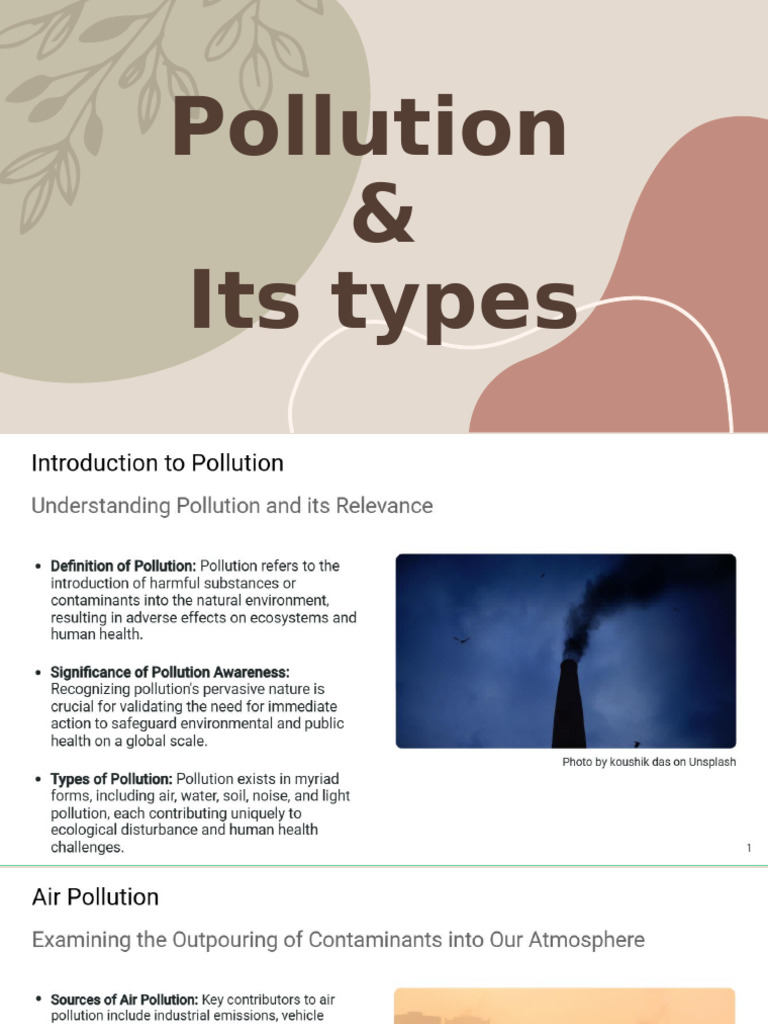 Pollution and Its Types | PDF