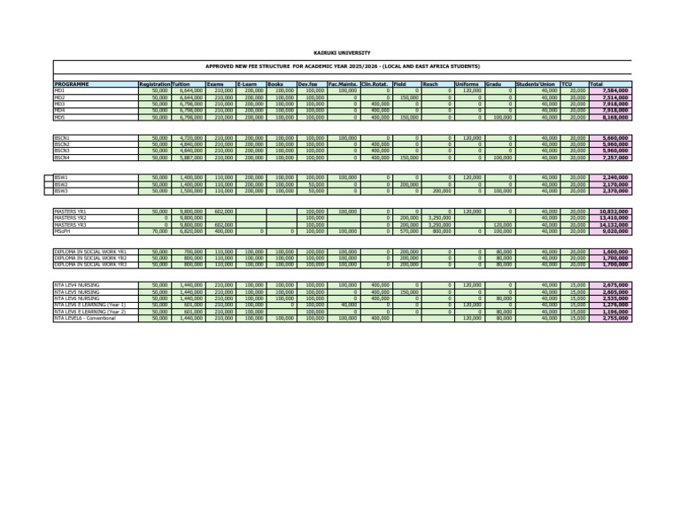 Kairuki University Fee Structure 2025/2026 | PDF