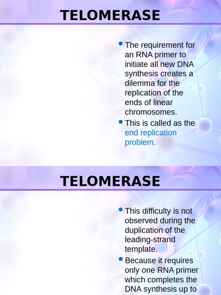 Understanding the End Replication Problem | PDF | Dna Replication ...