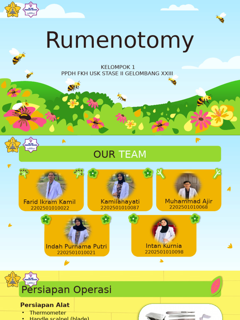 Kambing Tidak Bisa Berdiri: Rumenotomy | PDF
