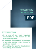 Plantation Class 1