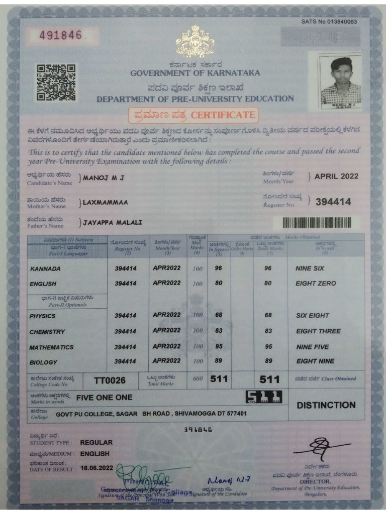 12 TH Marks Card | PDF