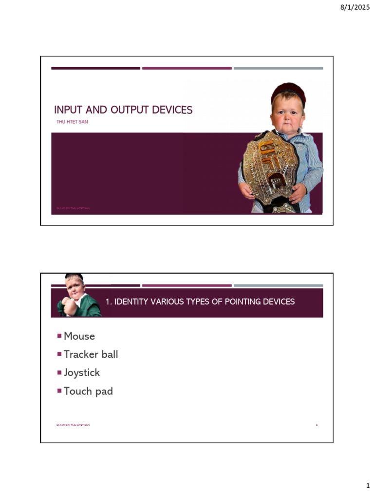 Input and Output Devices Overview | PDF | Liquid Crystal Display | Oled