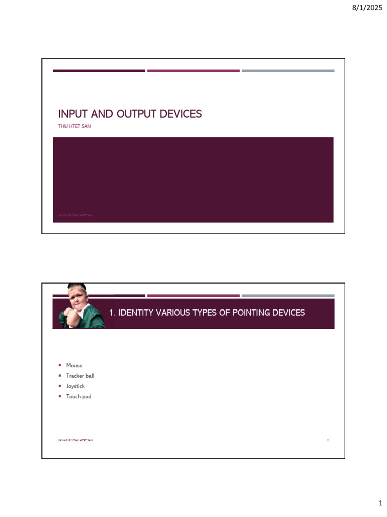 Types of Pointing Devices Explained | PDF