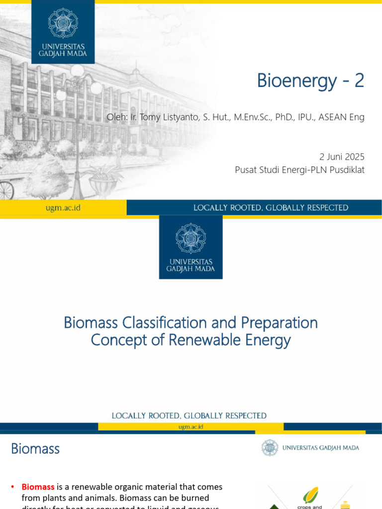 Biomass Energy Potential in Indonesia | PDF | Photosynthesis | Sugarcane