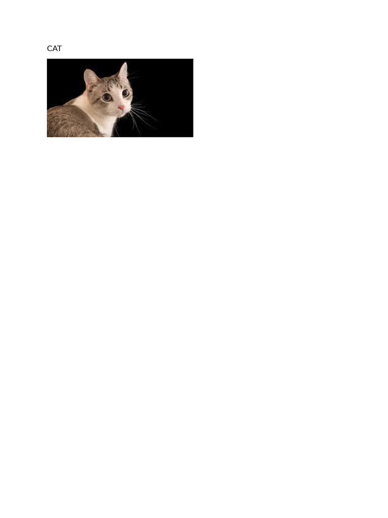 Cat | PDF