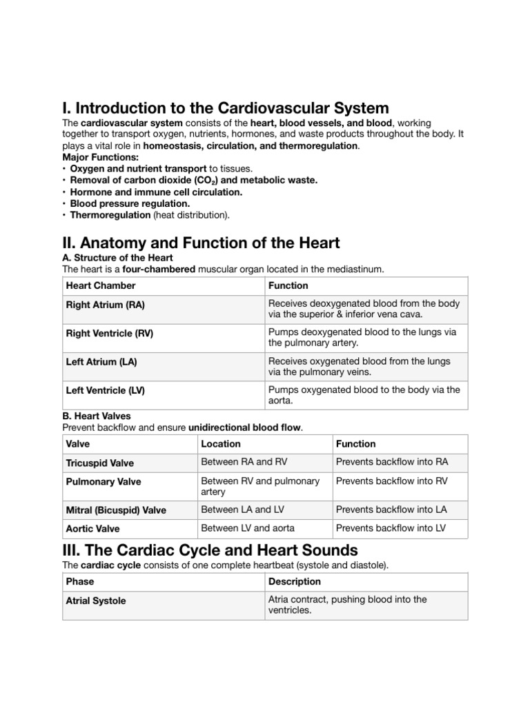 Overview of the Cardiovascular System | PDF | Heart | Heart Valve