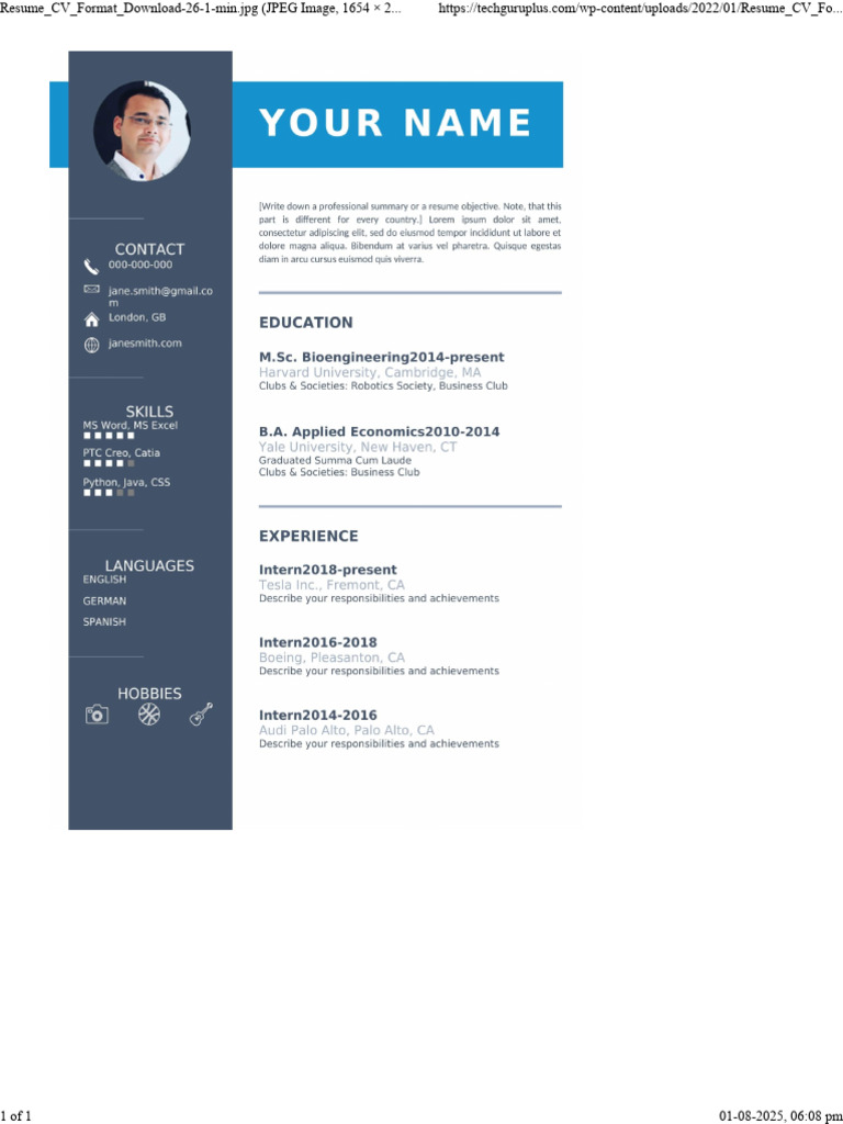 Simple CV Format for Architecture | PDF
