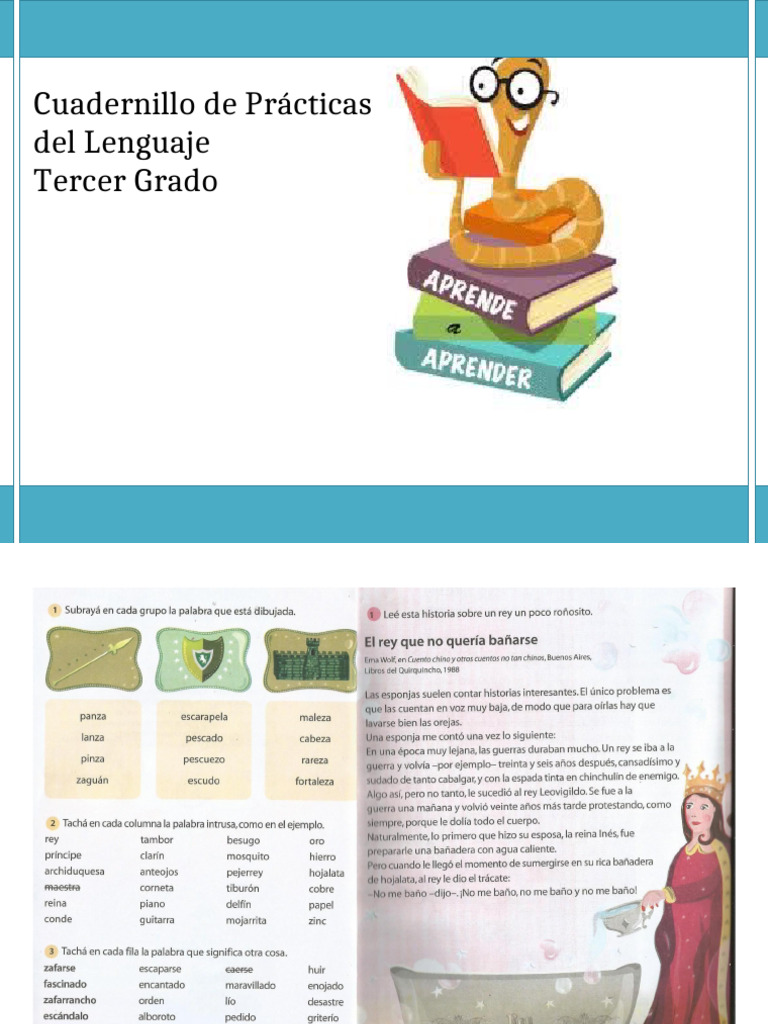 Cuadernillo de Lengua de 3º | PDF