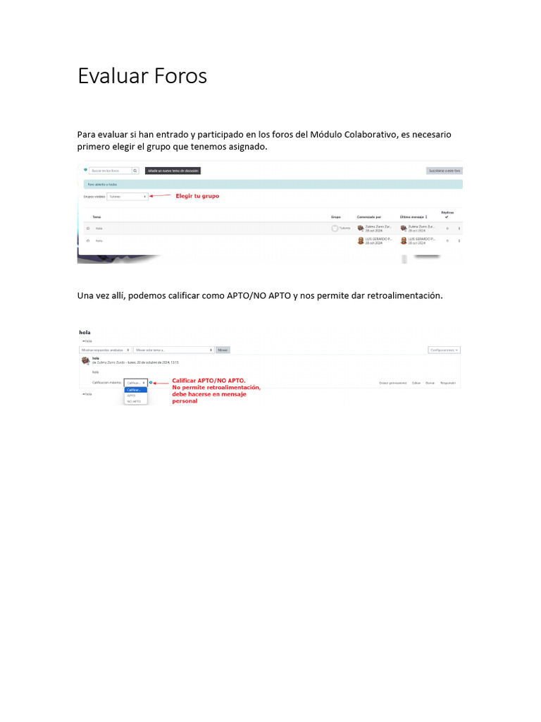 Manual Evaluar Foros | PDF