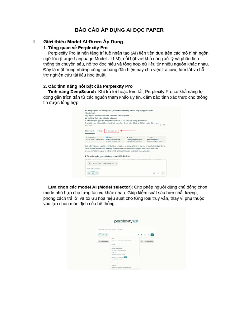 Report DBM | PDF