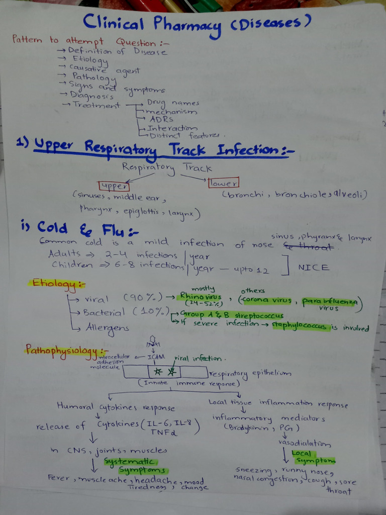 Cold and Flu | PDF