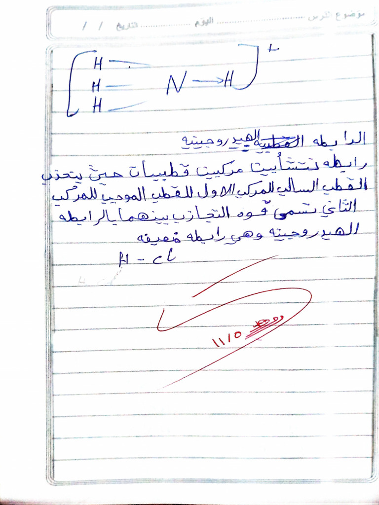 نمم | PDF