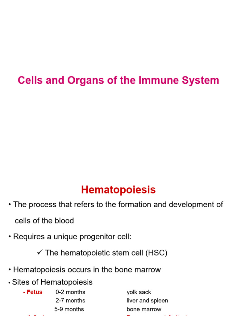 Immune System Cells and Organs Overview | PDF | Haematopoiesis | Lymphocyte