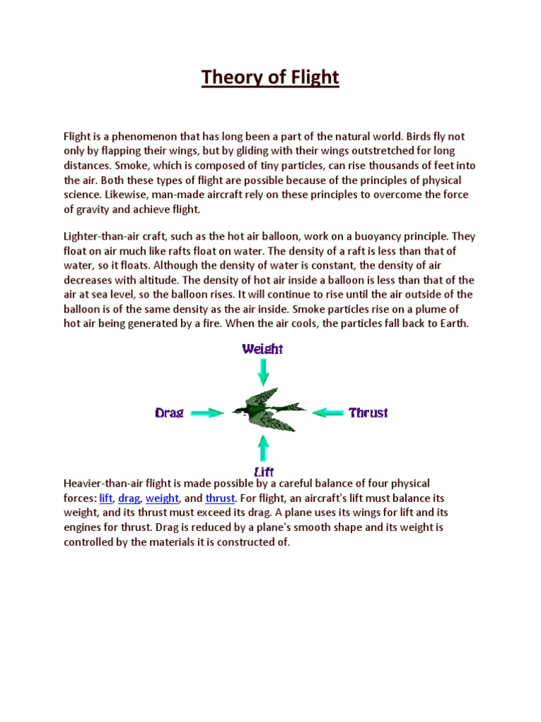Theory of Flight | PDF