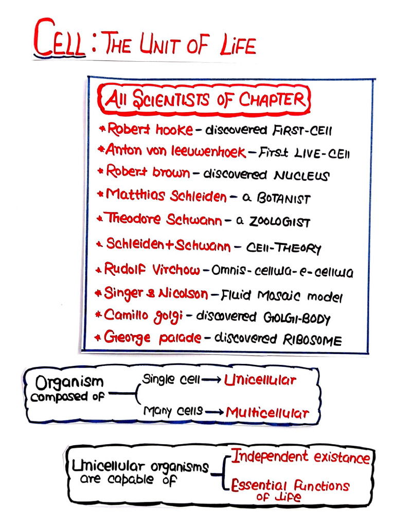 CELL THE UNIT OF LIFE Neet | PDF