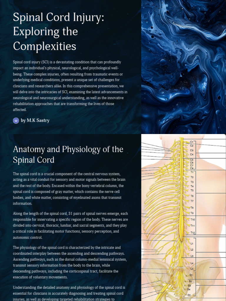 Understanding Spinal Cord Injuries | PDF | Spinal Cord Injury ...