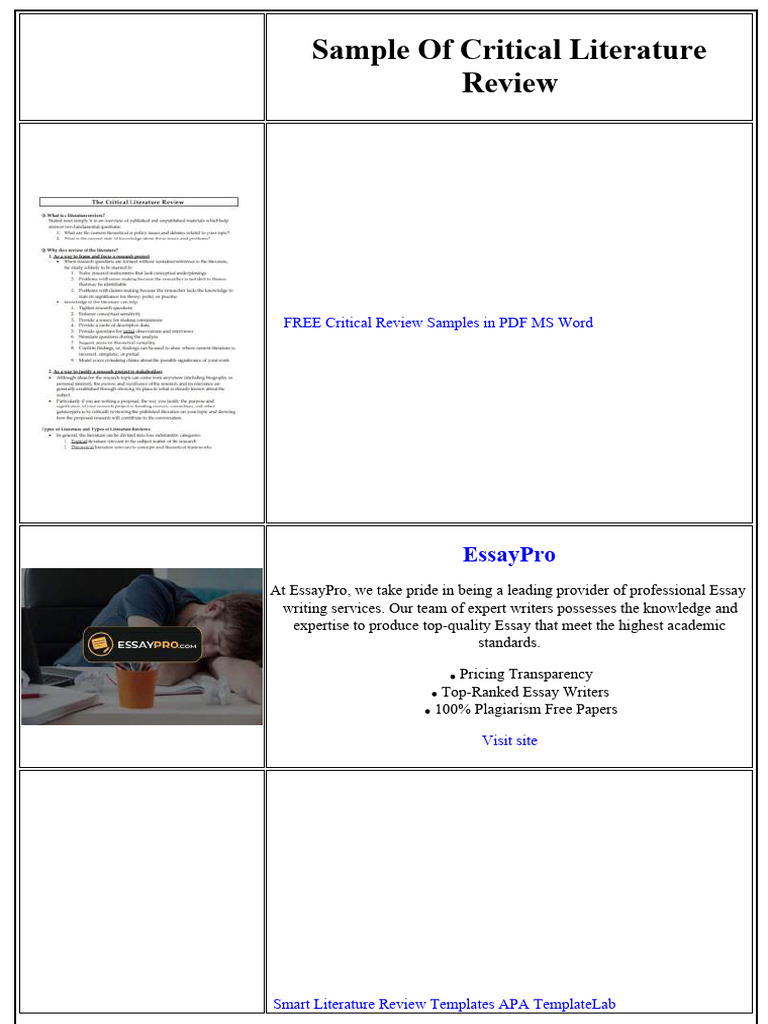 Sample of Critical Literature Review | PDF