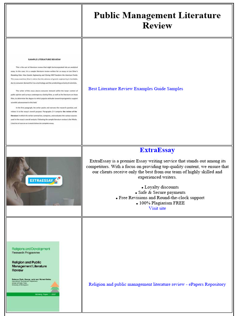 Public Management Literature Review PDF Performance Appraisal Essays Public Management Literature Review PDF Performance Appraisal Essays