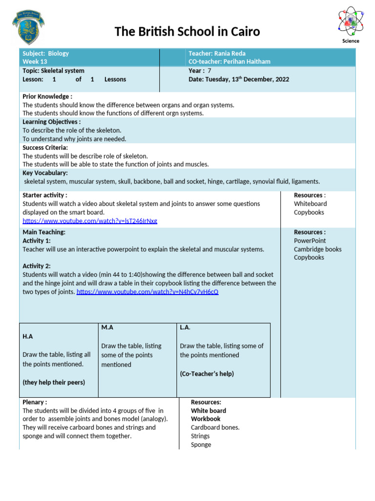 Skeletal System Lesson Plan L2 Week 13 Pdf Skeleton Joint