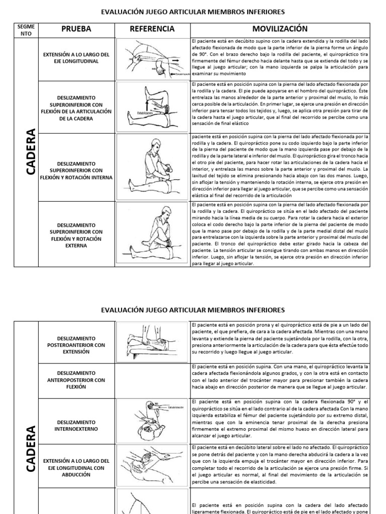 Test Tobillos | PDF | Rodilla | Tobillo